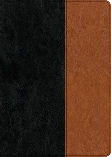 NIV Every Man's Bible Lg Print LeatherLike Black/Tan