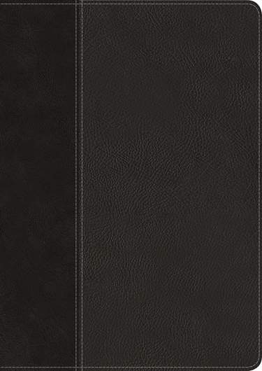 Every Man’s Bible NIV, Large Print LeatherLike, Indexed, Onyx/Black TuTone