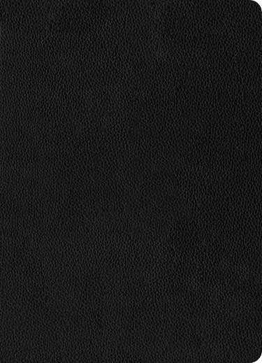 NLT Personal Size Giant Print Bible, Filament Enabled, Genuine Leather, Indexed, Black, Red Letter