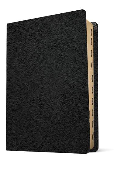 NLT Personal Size Giant Print Bible, Filament Enabled, Genuine Leather, Indexed, Black, Red Letter