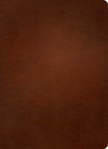 NLT Personal Size Giant Print Bible, Filament Enabled, Genuine Leather, Indexed, Brown, Red Letter