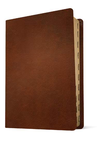 NLT Personal Size Giant Print Bible, Filament Enabled, Genuine Leather, Indexed, Brown, Red Letter