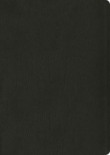 NLT Life Application Study Bible, Third Edition, Large Print, Genuine Leather, Indexed, Black, Red Letter