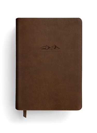 NLT The One Year Bible for Men, LeatherLike, Rustic Brown Mountain