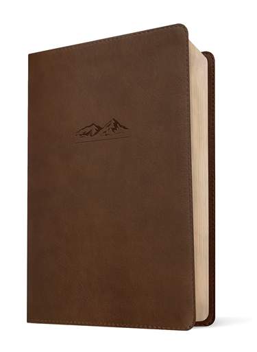 NLT The One Year Bible for Men, LeatherLike, Rustic Brown Mountain