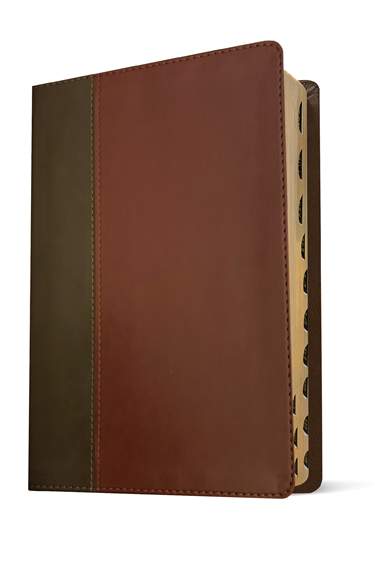 NKJV Life Application Study Bible, Third Edition, Large Print, LeatherLike, Indexed/Brown, Red Letter