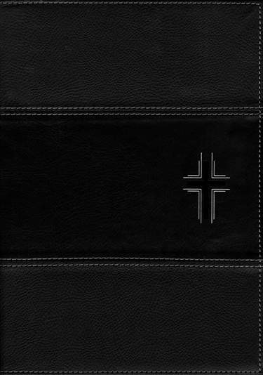 NTV Biblia de Estudio del Diario Vivir letra grande Onyx Indexed