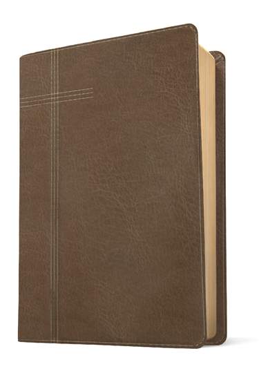 NIV Every Man's Bible, Leatherlike Pursuit Granite