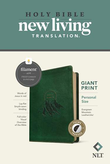 NLT Filament Personal Size Giant Print Bible Leatherlike Evergreen Indexed