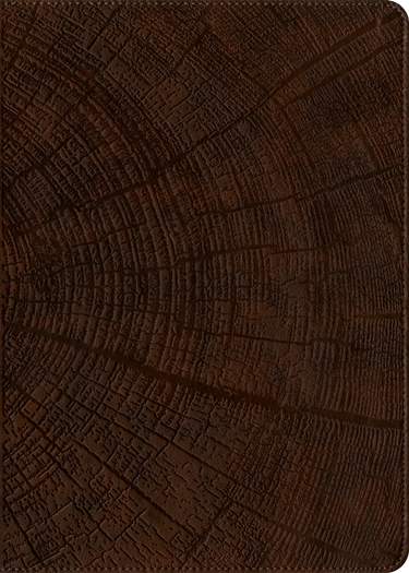 NLT Chronological Life Application Study Bible, Second Edition, LeatherLike, Heritage Oak Brown
