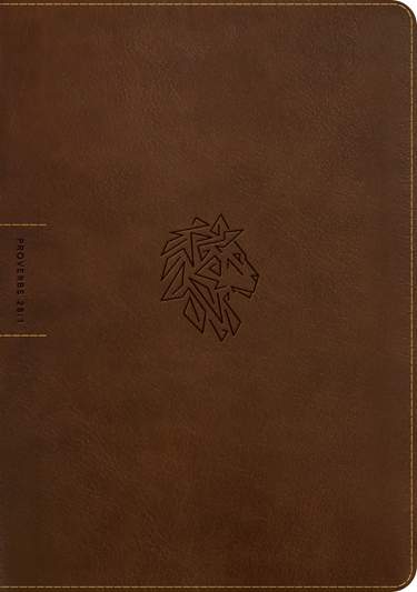 NLT Courage For Life Study Bible for Men, Filament-Rustic Brown Indexed