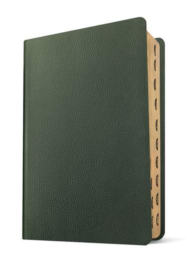 NLT Life Application Study Bible, Third Edition, Genuine Leather, Indexed, Olive Green, Red Letter