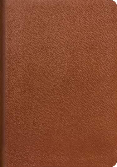 NLT Life Application Study Bible, Third Edition, Genuine Leather, Indexed, Brown, Red Letter