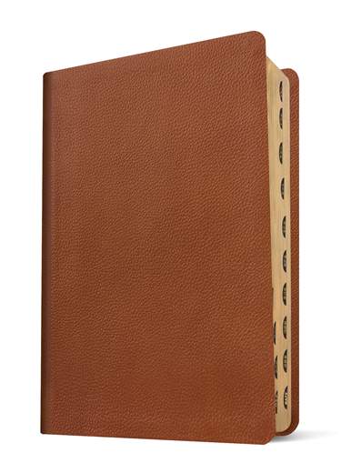 NLT Life Application Study Bible, Third Edition, Genuine Leather, Indexed, Brown, Red Letter