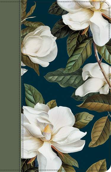 NLT Giant Print Compact Bible (Magnolia Sage Green)
