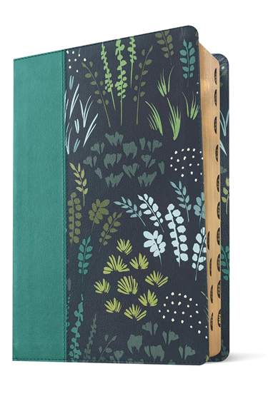 NLT Life Application Study Bible, Third Edition, Large Print, LeatherLike, Meadow Teal, Indexed