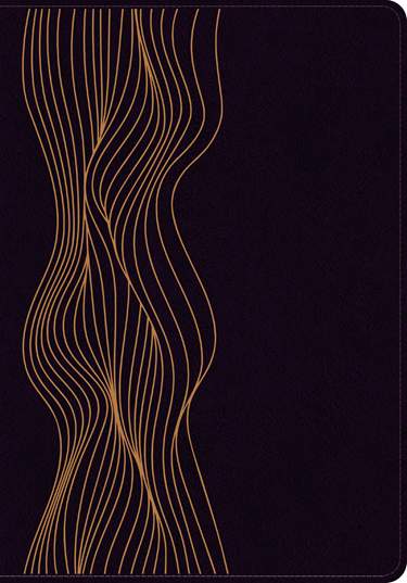 Biblia de estudio del diario vivir RVR60, LeatherLike, Indexed, Dark Purple, Red Letter