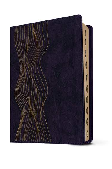 Biblia de estudio del diario vivir RVR60, LeatherLike, Indexed, Dark Purple, Red Letter