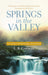 Springs in the Valley by L. B. E. Cowman - Morning Star Christian Bookstores