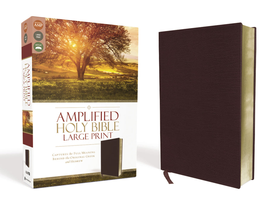 Amplified Holy Bible, Large Print (Burgundy Bonded Leather) - Morning Star Christian Bookstores