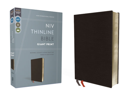 NIV Thinline Bible Giant Print (Black Bonded Leather) - Morning Star Christian Bookstores