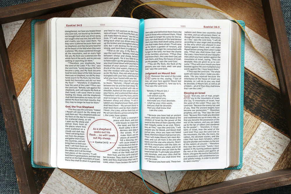 NKJV, Teen Study Bible, Leathersoft, Teal, Comfort Print