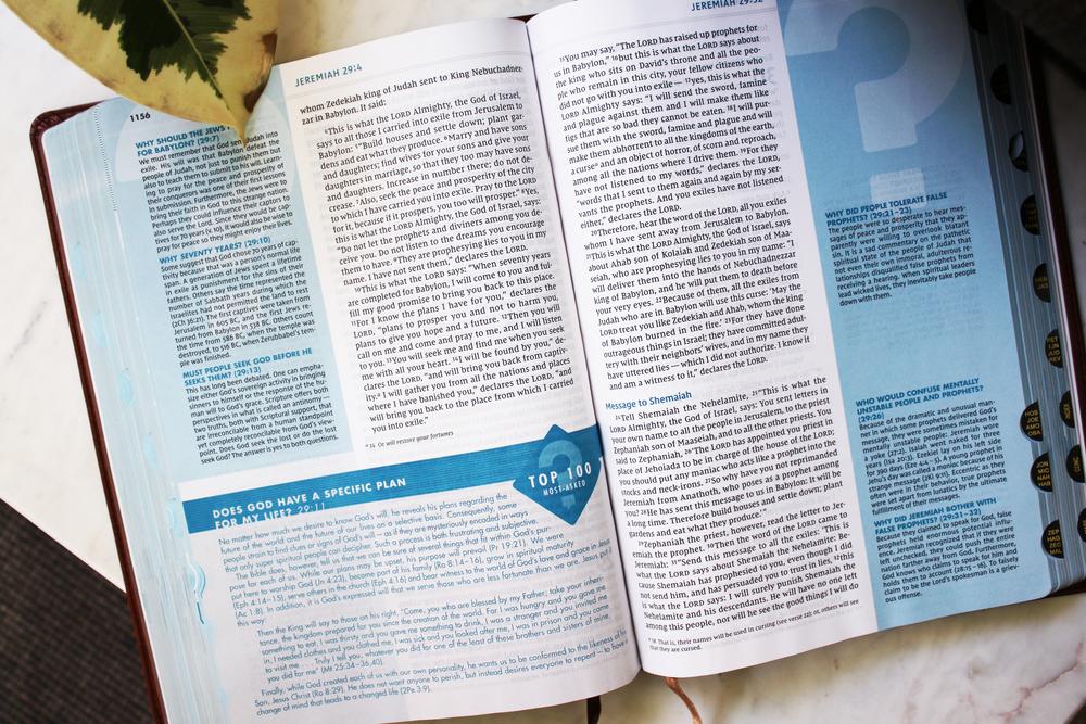 NIV, Quest Study Bible, Large Print, Brown Leathersoft, Indexed