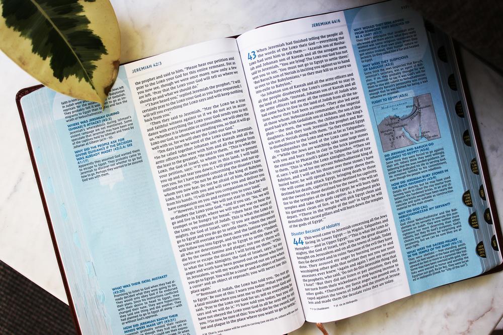 NIV, Quest Study Bible, Large Print, Brown Leathersoft, Indexed