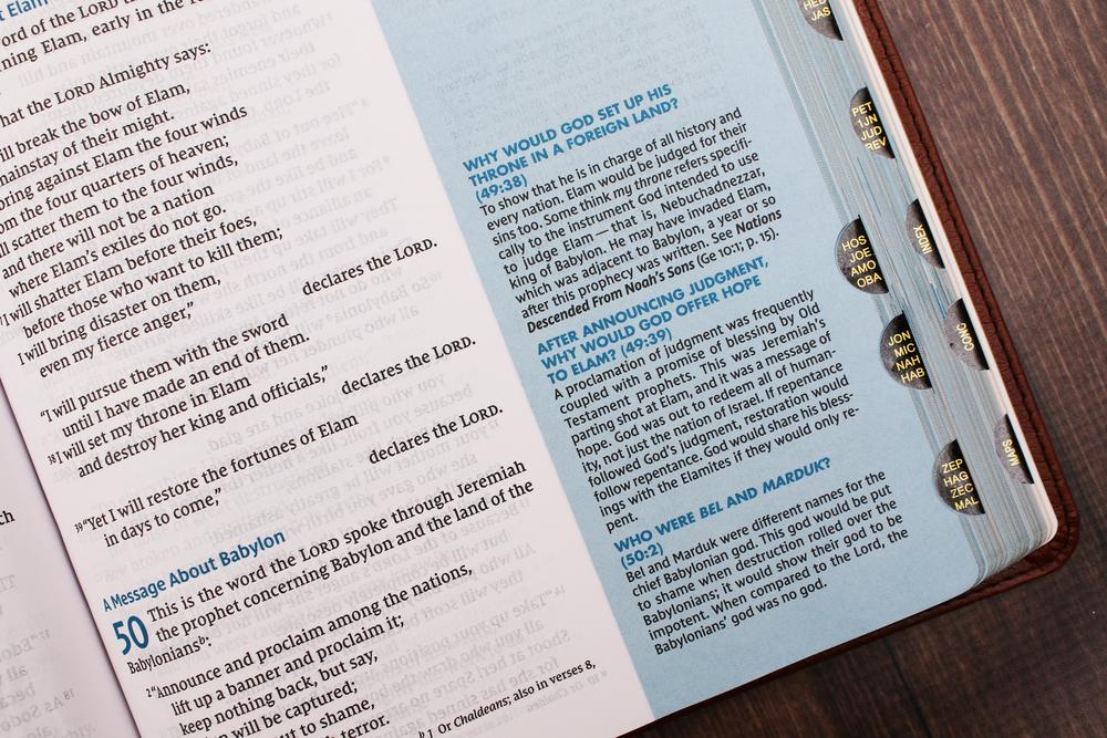 NIV, Quest Study Bible, Large Print, Brown Leathersoft, Indexed