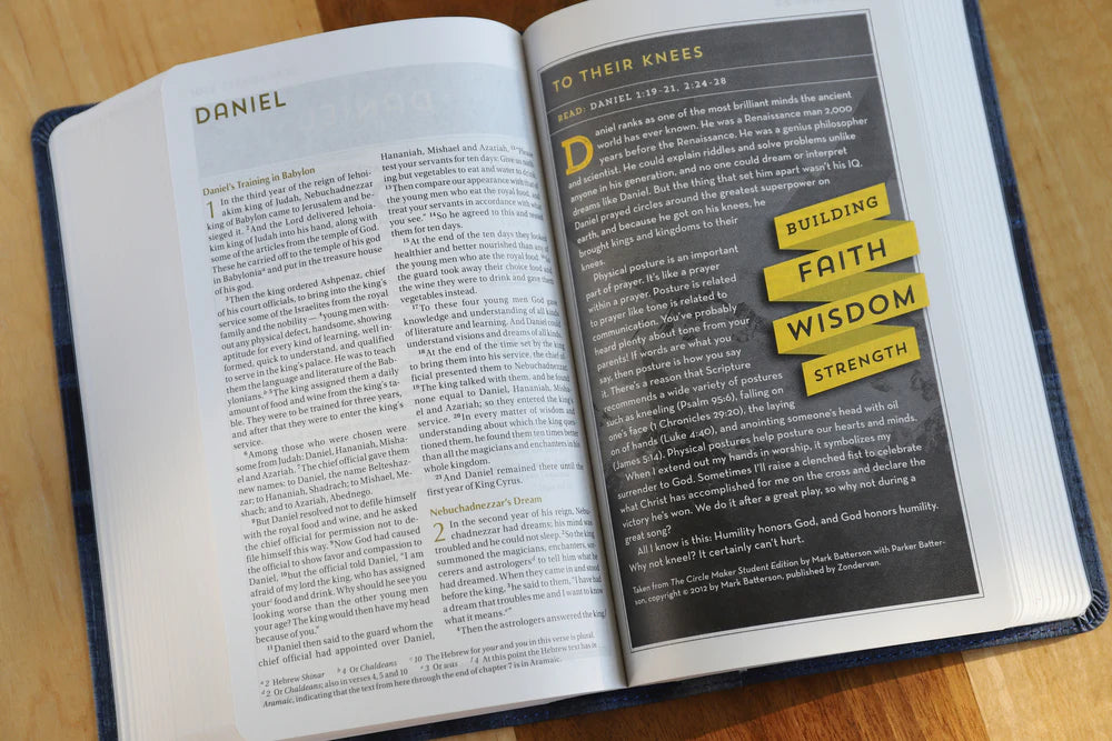 NIV Bible for Teen Guys ( Leathersoft)