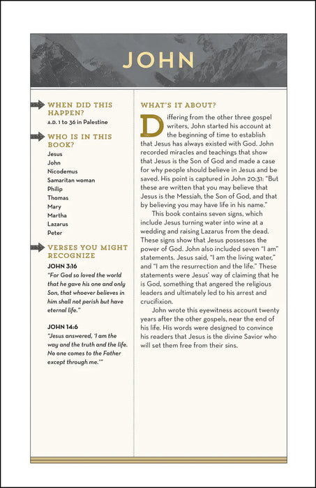 NIV Bible for Teen Guys ( Leathersoft)