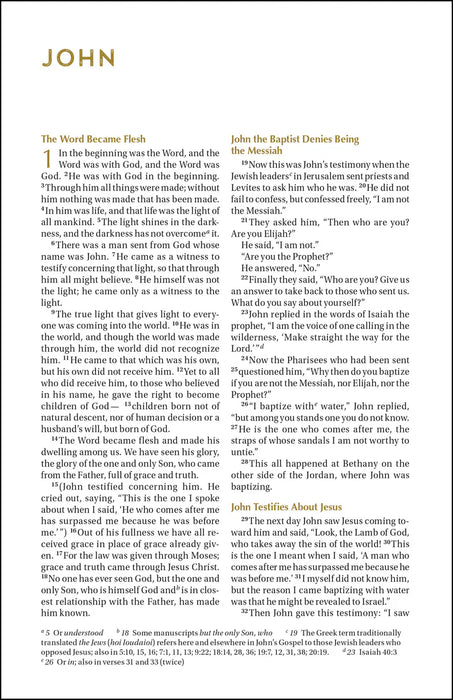 NIV Bible for Teen Guys ( Leathersoft)