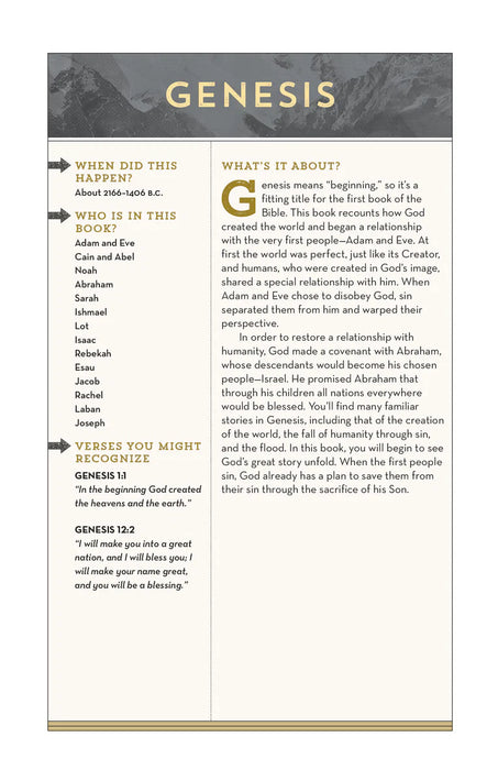 NIV Bible for Teen Guys ( Leathersoft)