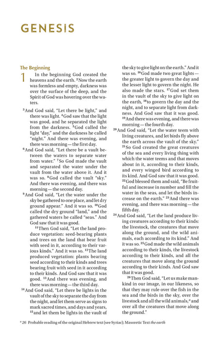 NIV Bible for Teen Guys ( Leathersoft)