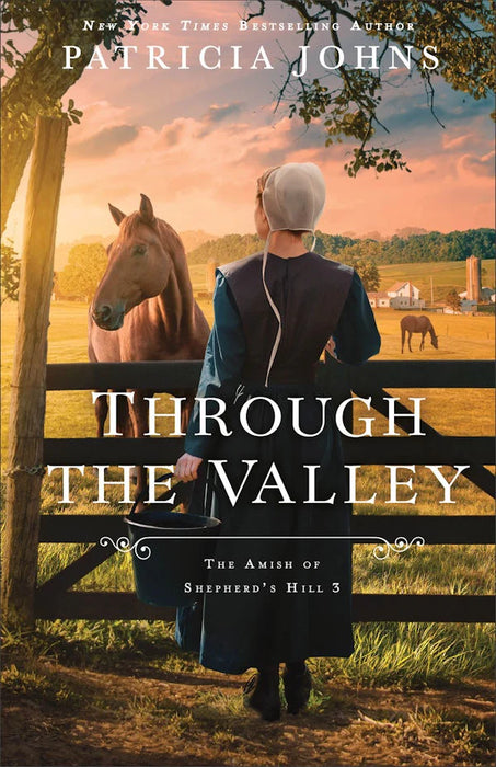 Through the Valley (The Amish of Shepherd's Hill #3) - Patricia Johns