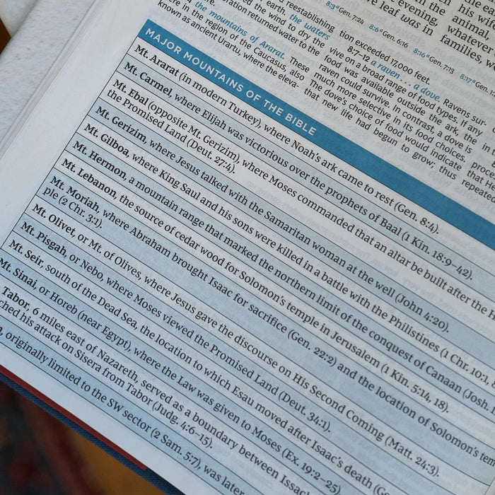NKJV MacArthur Study Bible Brown Leathersoft - 2nd Edition