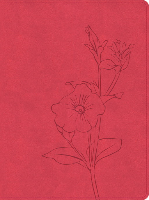 CSB Lifeway Women's Bible - Coral LeatherTouch - Morning Star Christian Bookstores