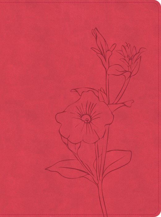 CSB Lifeway Women's Bible - Coral LeatherTouch - Morning Star Christian Bookstores