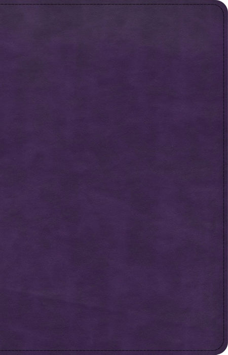 CSB Large Print Personal Size Reference Bible-- LeatherTouch, purple (indexed)