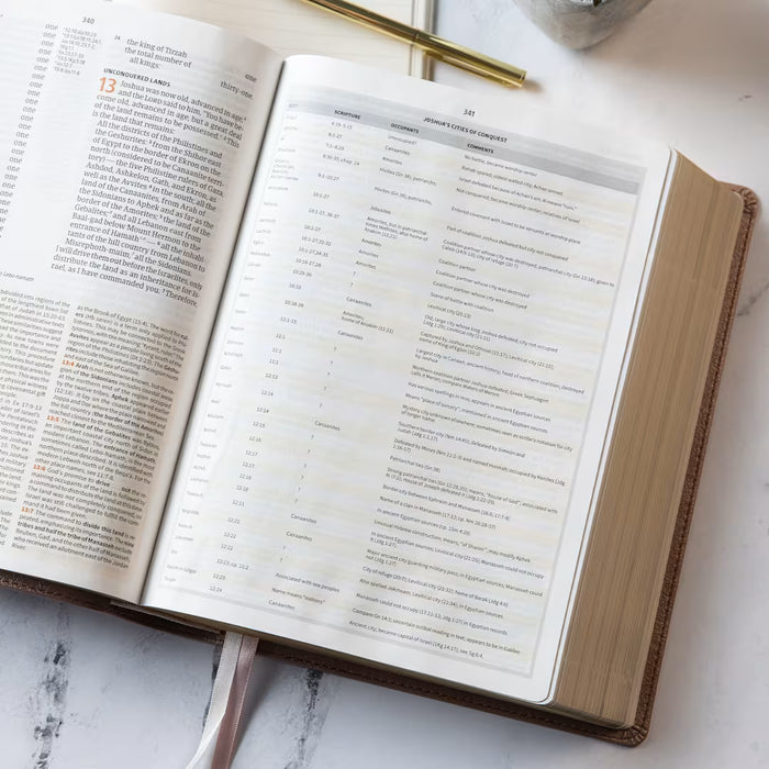 CSB Study Bible Rose Gold LeatherTouch