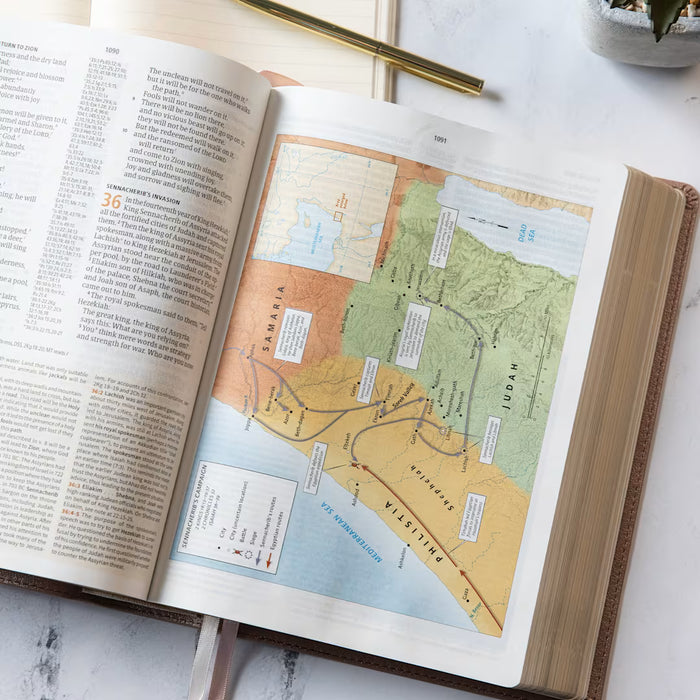 CSB Study Bible Rose Gold LeatherTouch