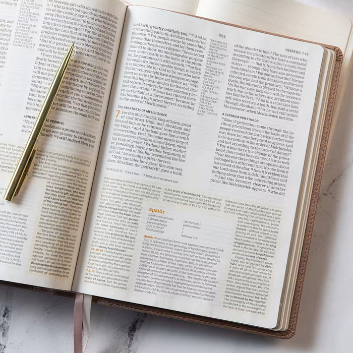 CSB Study Bible Rose Gold LeatherTouch