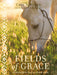 Fields of Grace by Cara Whitney - Morning Star Christian Bookstores