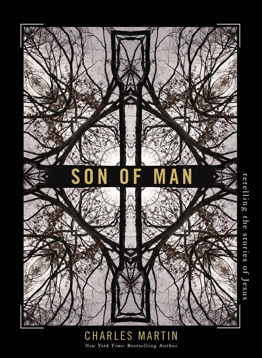 Son of Man by Charles Martin