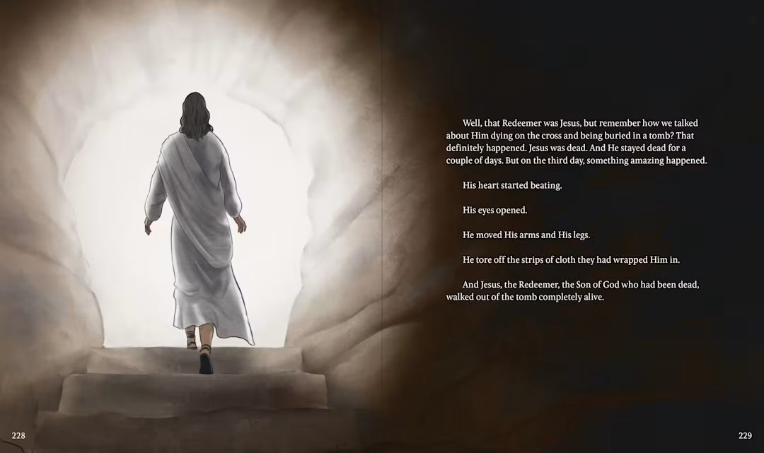 The Promises of God Storybook Bible - Jennifer Lyell