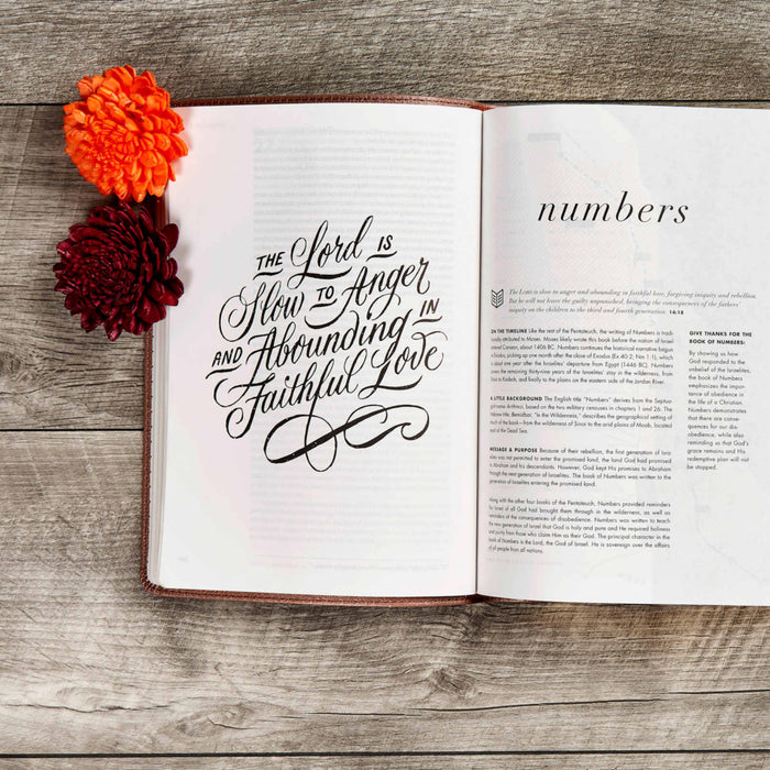 CSB She Reads Truth Bible, Rose Gold LeatherTouch