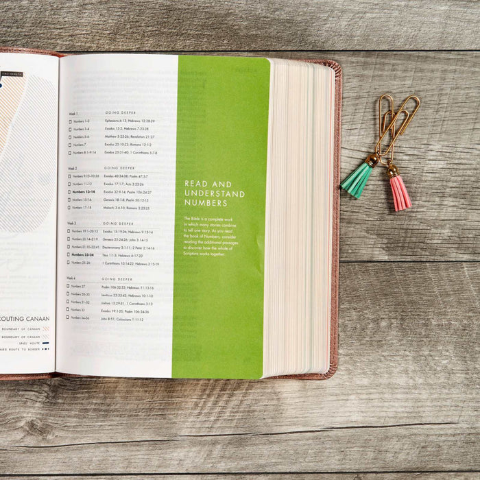 CSB She Reads Truth Bible, Rose Gold LeatherTouch