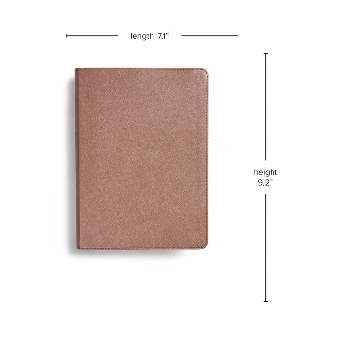 CSB She Reads Truth Bible, Rose Gold LeatherTouch