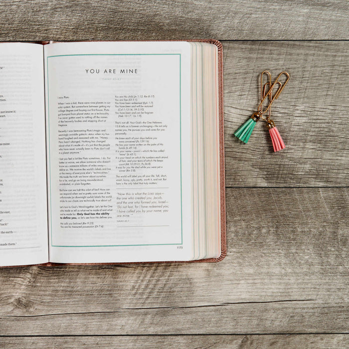 CSB She Reads Truth Bible, Rose Gold LeatherTouch