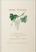 One Thing: 21 Devotions to Clear the Noise and Draw Near to Jesus cover image